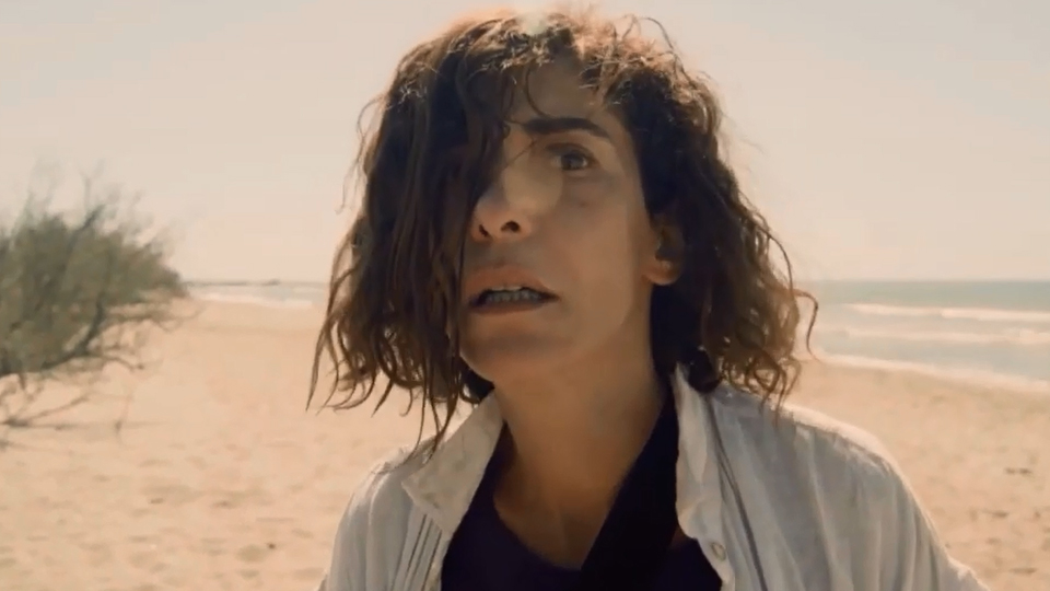 L&rsquo;Effondrement sur Canal + : collapsosurvie…